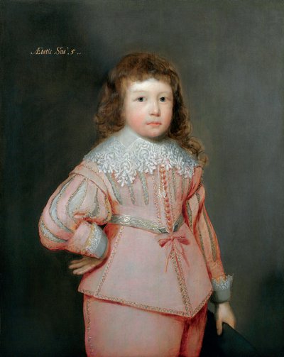 Retrato de un niño joven que se cree es Lucius Cary, 3er Vizconde de Falkland, c.1637 de Cornelius Janssen van Ceulen